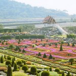 สวนนงนุชพัทยา